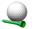 /i/golf/golf_ball_tee_rolling_md_clr.gif